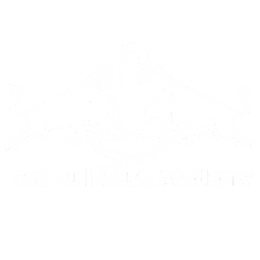 redbull-masacoustics (1)