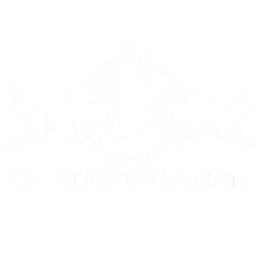 redbull-masacoustics-1-1.png